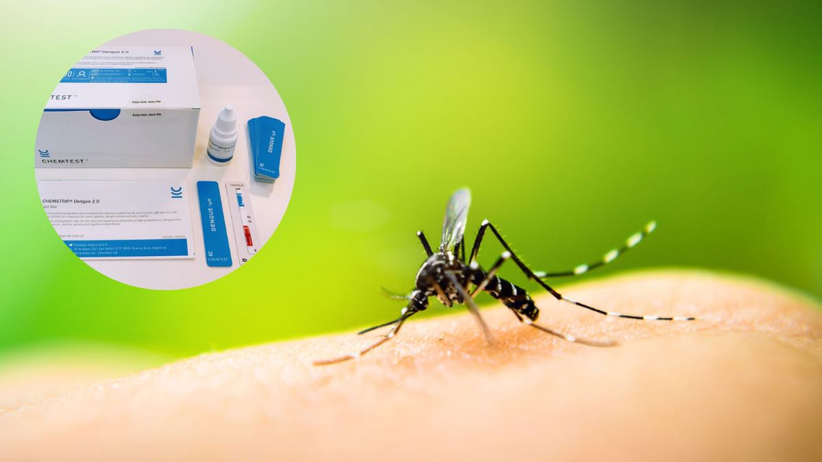 Fotografía publicada por la Municipalidad de La Molina con el comunicado "Lluvias y dengue preocupan al Comité Distrital de Salud de La Molina"