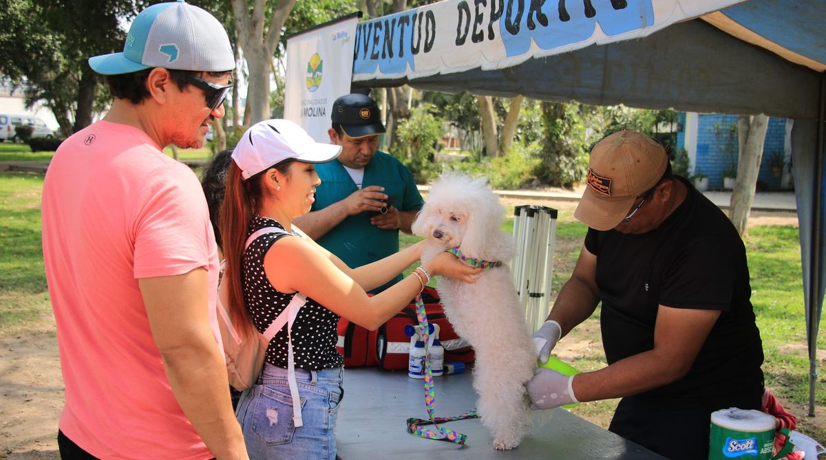 Fotografía publicada por la Municipalidad de La Molina con el comunicado "AMIGOS DE LOS ANIMALES DESTACAN SERVICIOS QUE SE BRINDAN EN DISTRITO DE LA MOLIN"