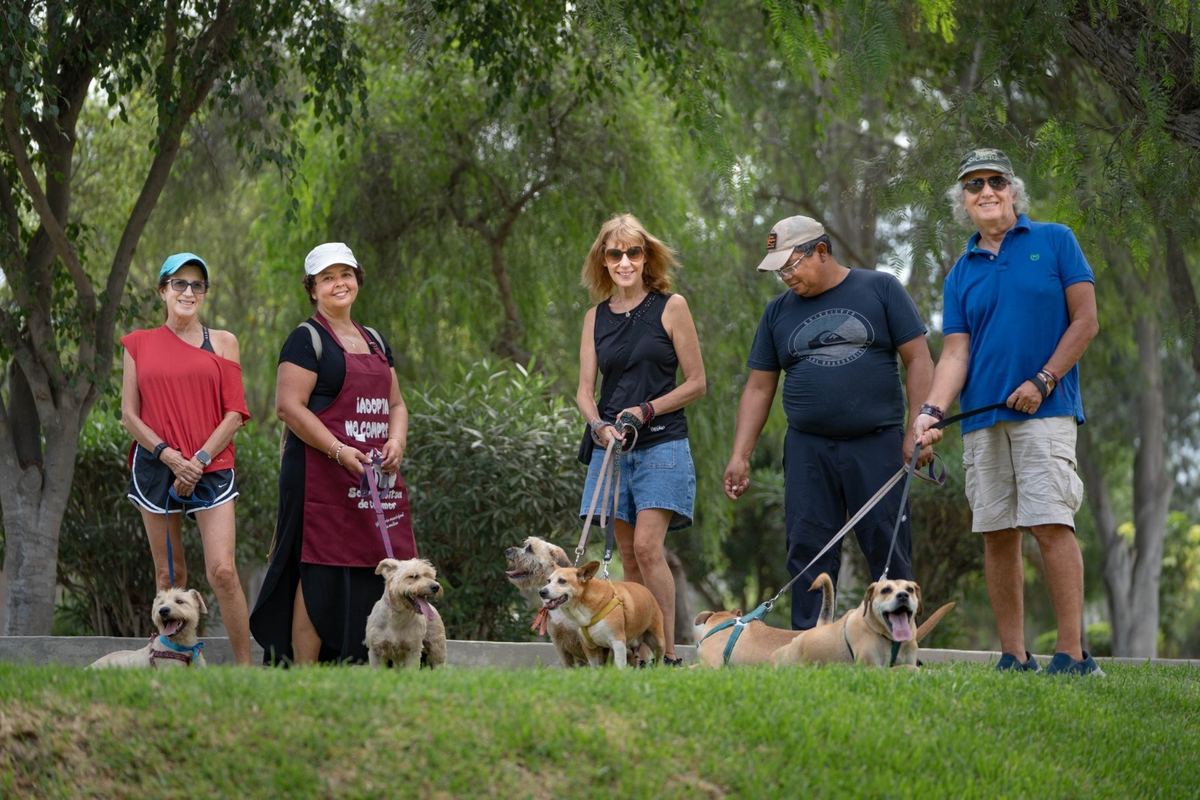 Fotografía publicada por la Municipalidad de La Molina con el comunicado "LA MOLINA PROMUEVE CAMPAÑA «PASEO ENTREPATAS» PARA IMPULSAR ADOPCIÓN DE MASCOTAS"