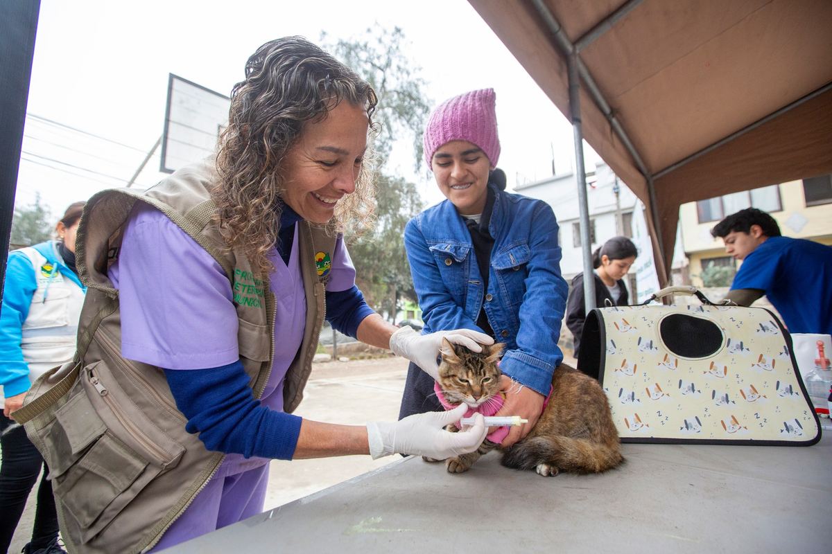 Fotografía publicada por la Municipalidad de La Molina con el comunicado "MÁS DE 120 MASCOTAS ATENDIDAS EN CAMPAÑA VETERINARIA"