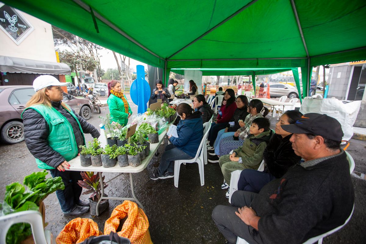 Fotografía publicada por la Municipalidad de La Molina con el comunicado "MAS DE 6 MIL VECINOS EN PROGRAMAS ECOLÓGICOS DE LA MUNICIPALIDAD DE LA MOLINA"