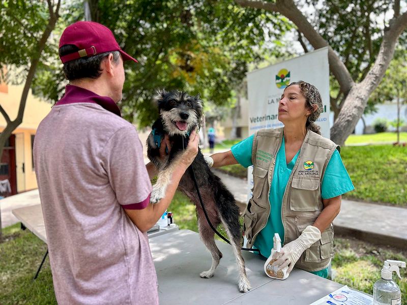 Fotografía publicada por la Municipalidad de La Molina con el comunicado "MASCOTAS TENDRÁN DÍA DE FIESTA ESTE SÁBADO 29"