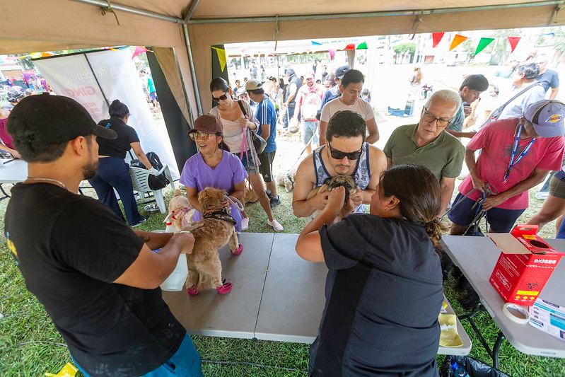 Fotografía publicada por la Municipalidad de La Molina con el comunicado "MASCOTAS ESTUVIERON DE FIESTA"